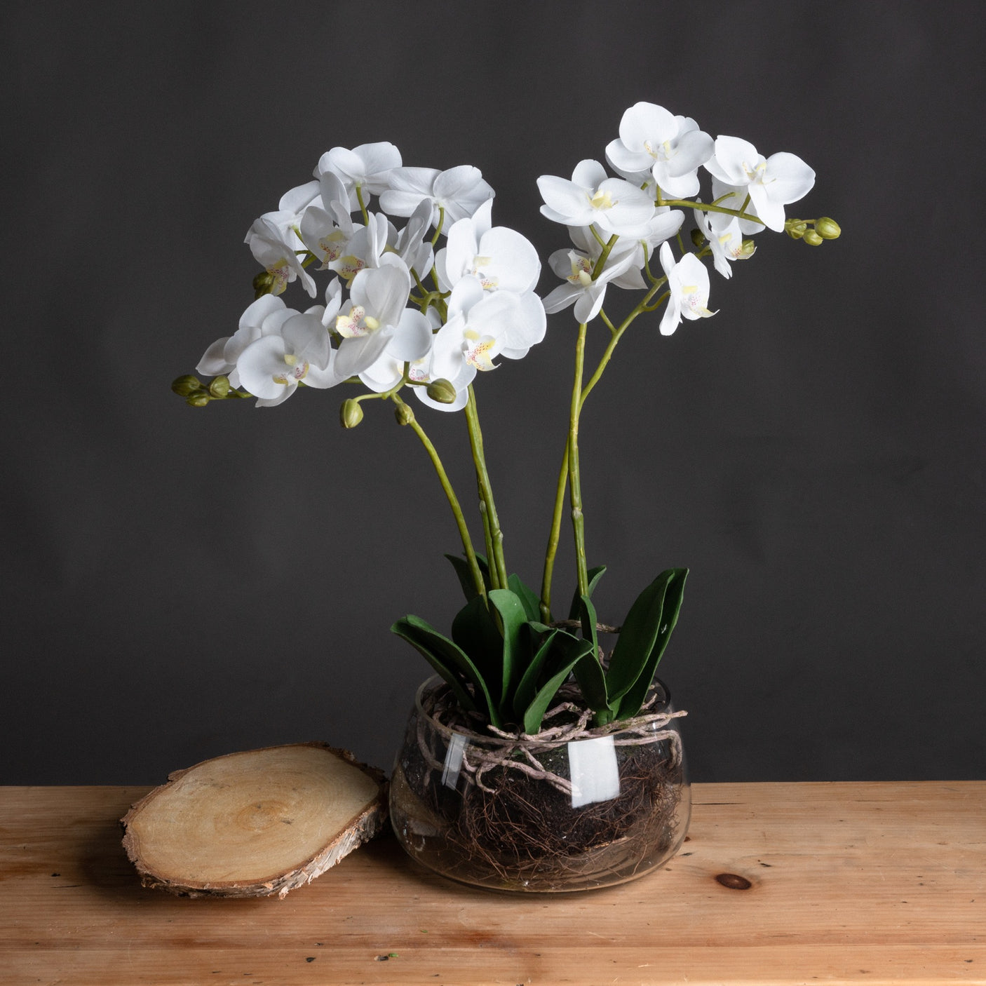 White Orchid In Glass Pot - Lacona Home 