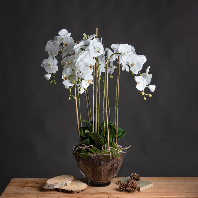 Large White Orchid In Glass Pot - Lacona Home 