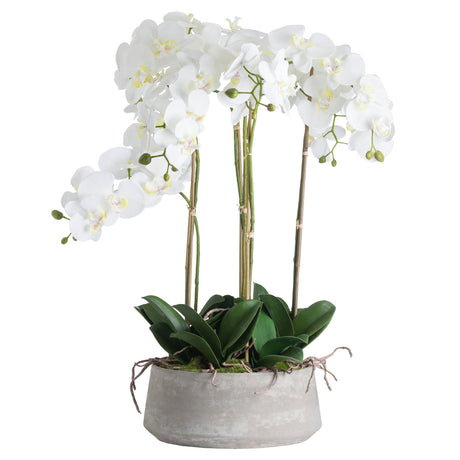 Large White Orchid In Stone Pot - Lacona Home 