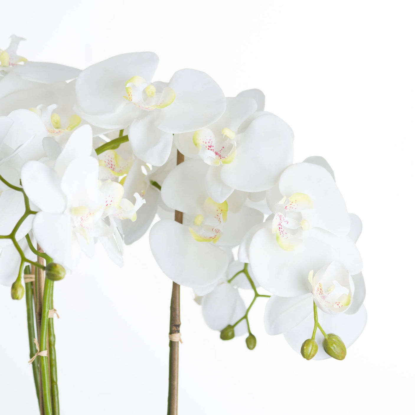 Large White Orchid In Stone Pot - Lacona Home 