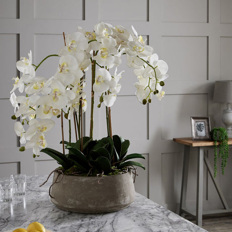 Large White Orchid In Stone Pot - Lacona Home 