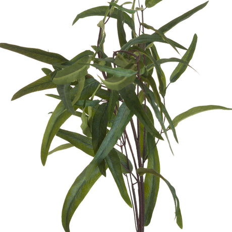 Eucalyptus Nicholii Spray - Lacona Home 