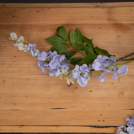 Lilac Wisteria - Lacona Home 