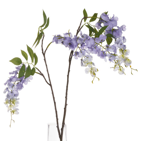 Lilac Wisteria - Lacona Home 