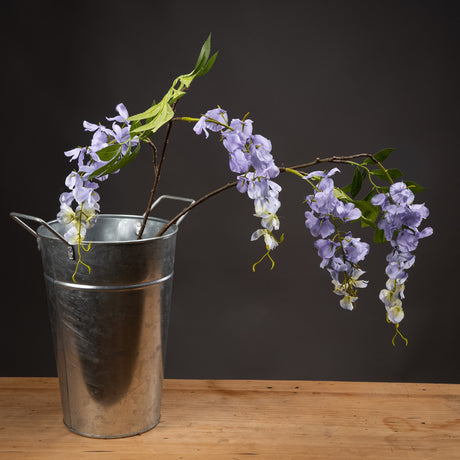 Lilac Wisteria - Lacona Home 