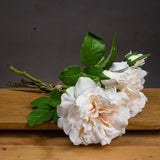 Peachy Cream Short Stem Rose Bouquet - Lacona Home 