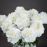 Classic White Peony - Lacona Home 