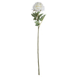 Classic White Peony - Lacona Home 