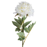 Classic White Peony - Lacona Home 