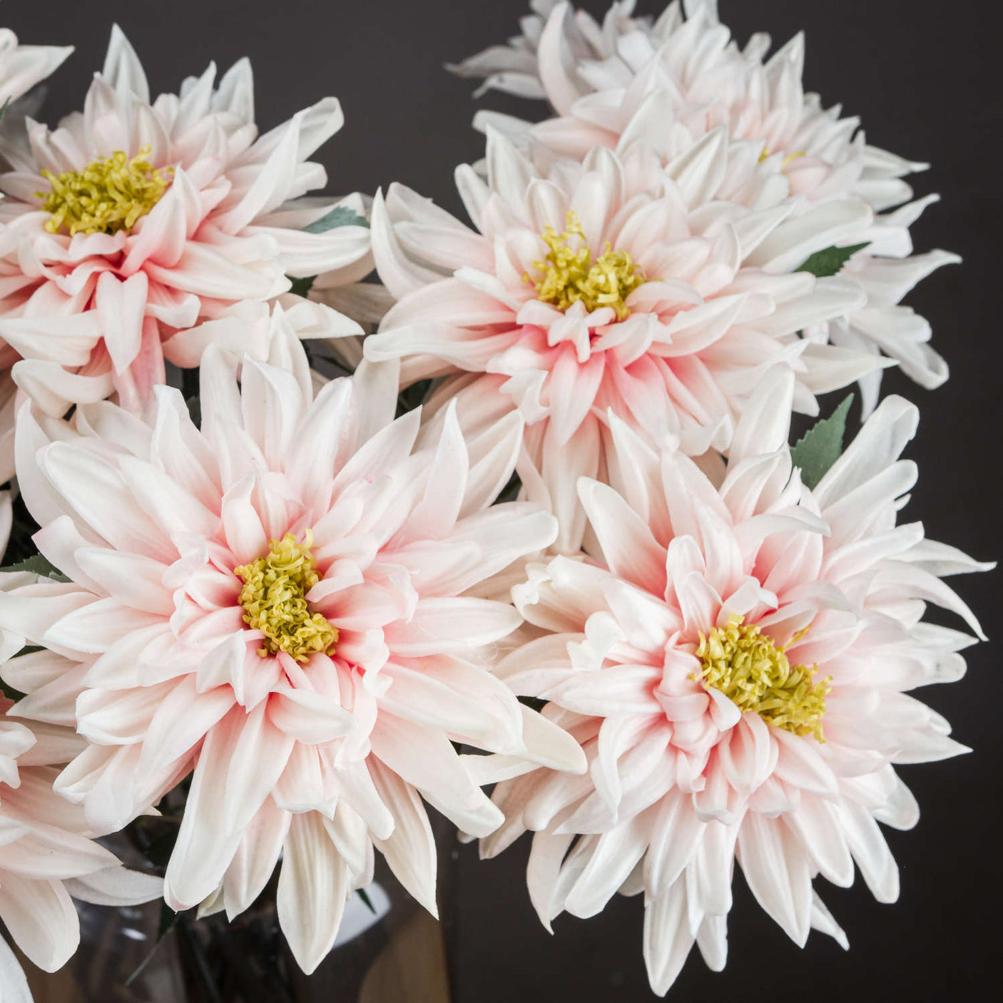 Lush Pink Dahlia - Lacona Home 