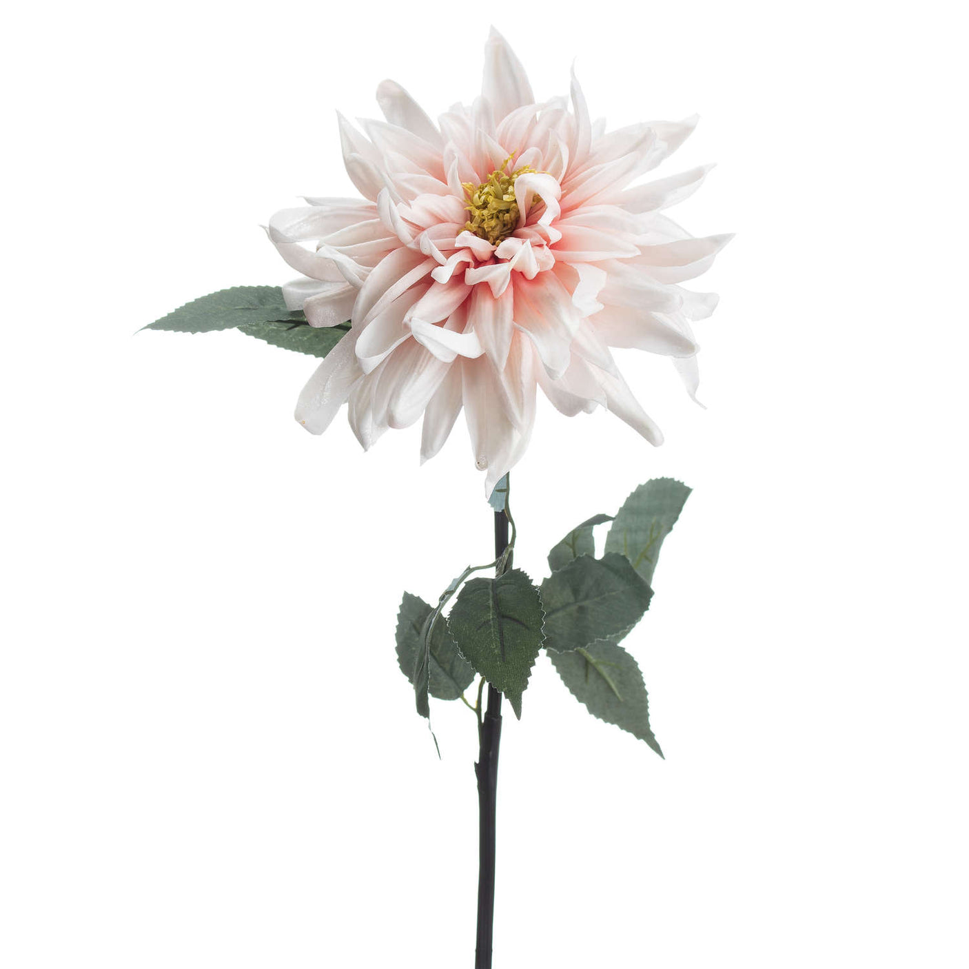 Lush Pink Dahlia - Lacona Home 