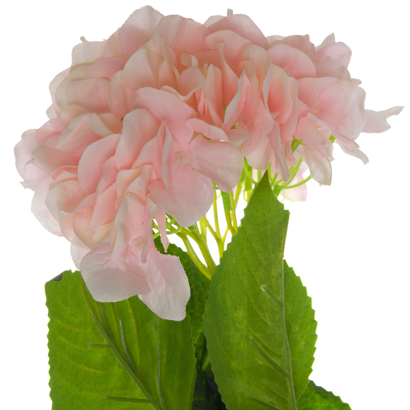 Single Pink Hydrangea - Lacona Home 