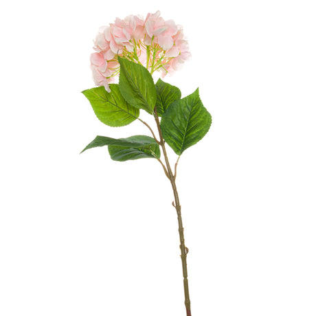 Single Pink Hydrangea - Lacona Home 