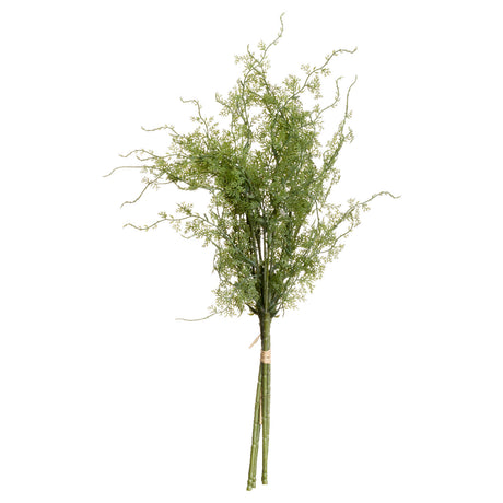 Asparagus Fern Bunch - Lacona Home 