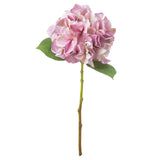 Shabby Pink Single Hydrangea - Lacona Home 