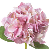 Shabby Pink Single Hydrangea - Lacona Home 