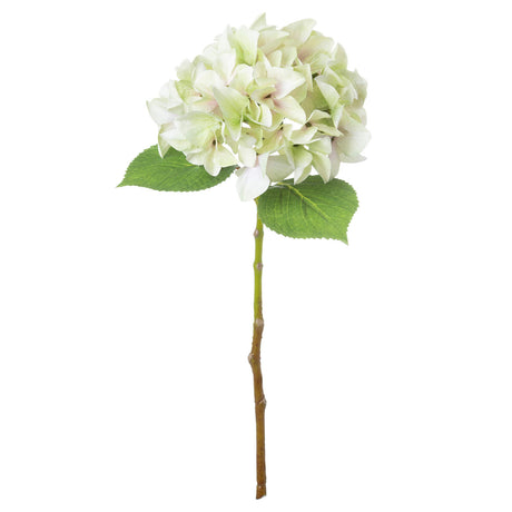 Shabby Green Single Hydrangea - Lacona Home 