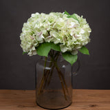 Shabby Green Single Hydrangea - Lacona Home 