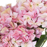 Shabby Pink Hydrangea Bouquet - Lacona Home 