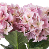 Shabby Pink Hydrangea Bouquet - Lacona Home 