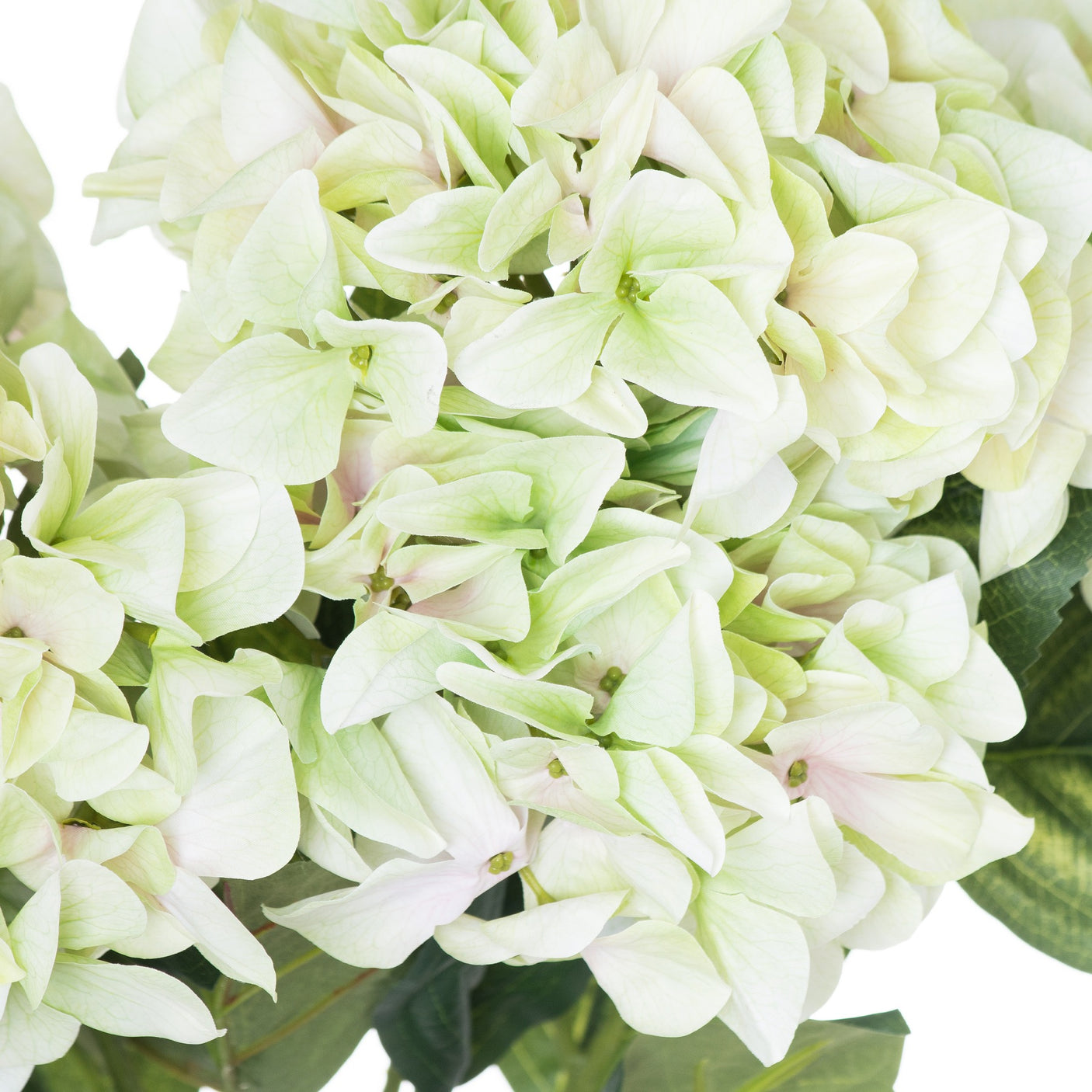 Shabby Green Hydrangea Bouquet - Lacona Home 