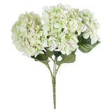 Shabby Green Hydrangea Bouquet - Lacona Home 