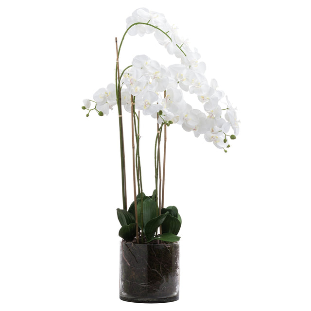 Large White Tall Orchid In Glass Pot - Lacona Home 