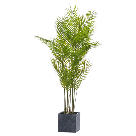 Large Paradise Potted Palm - Lacona Home 