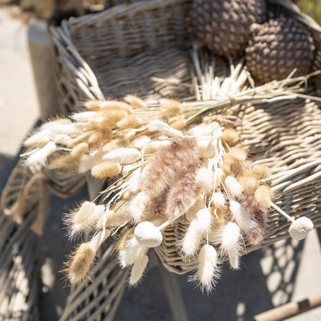 Dried White Billy Ball Bunch of 20 - Lacona Home 