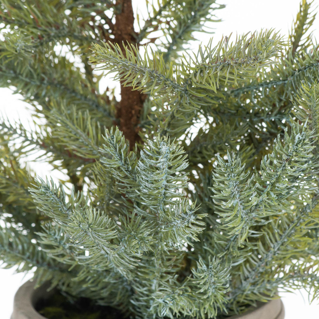 Garda Pine Tree In Stone Pot - Lacona Home 