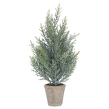 Squat Fir Tree In Stone Pot - Lacona Home 