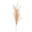 Large Faux Pampas Grass Stem - Lacona Home 