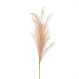 Large Faux Pampas Grass Stem - Lacona Home 