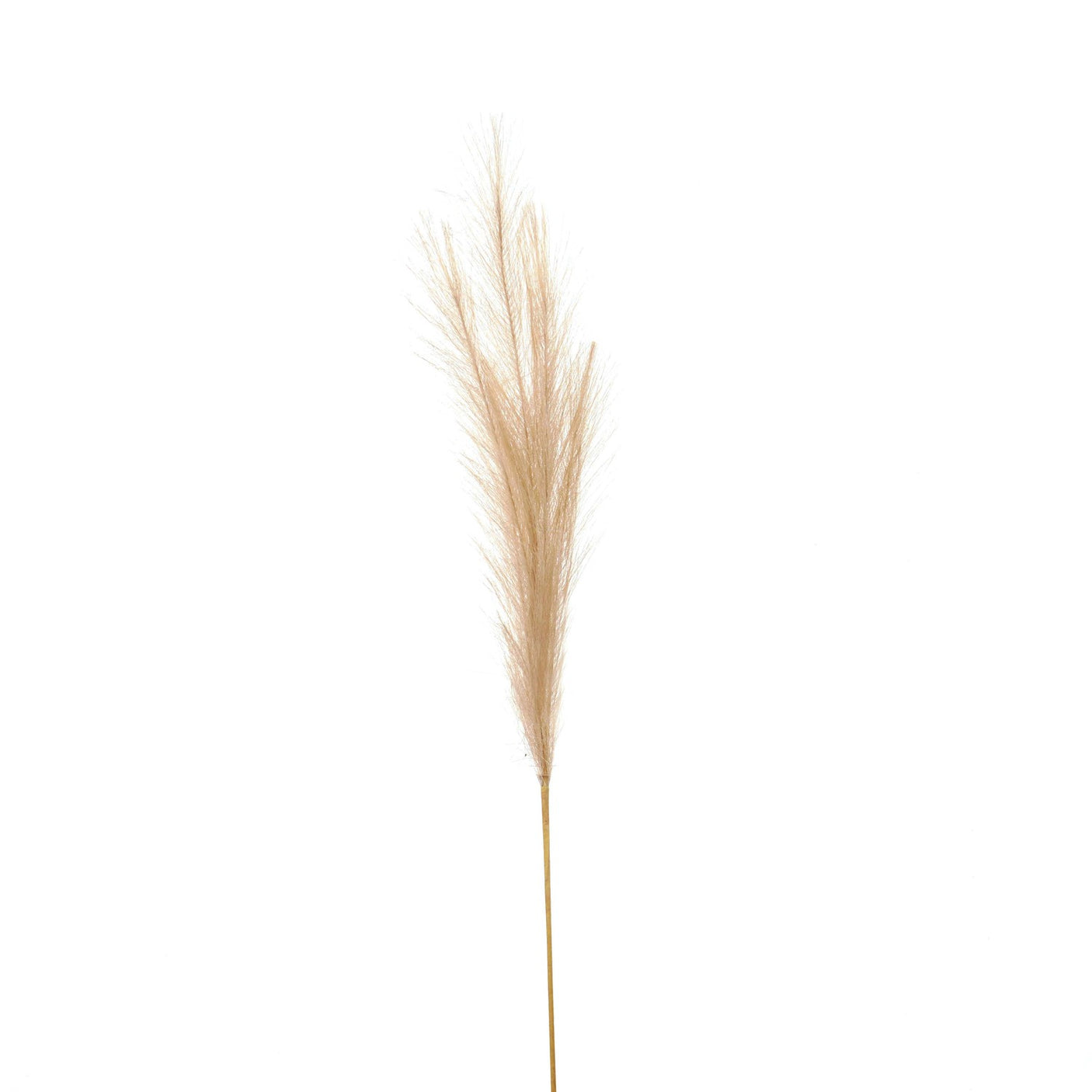 Bleached Faux Pampas Grass Stem - Lacona Home 