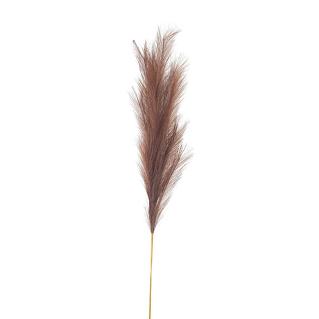 Taupe Large Faux Pampas Grass Stem - Lacona Home 