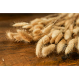 Bouquet of Tall Bunny Tails - Lacona Home 