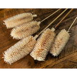 Bouquet of Dried Tall Thistle - Lacona Home 