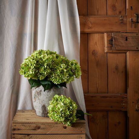 Green Hydrangea Bunch - Lacona Home 