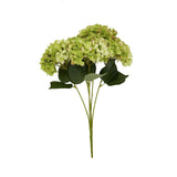 Green Hydrangea Bunch - Lacona Home 