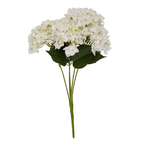 White Hydrangea Bunch - Lacona Home 