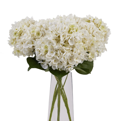 White Hydrangea Bunch - Lacona Home 