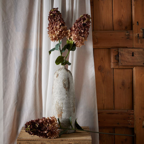 Burgundy Spear Hydrangea - Lacona Home 