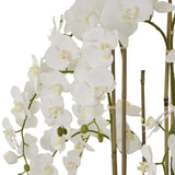 Large White Orchid In Antique Stone Pot - Lacona Home 