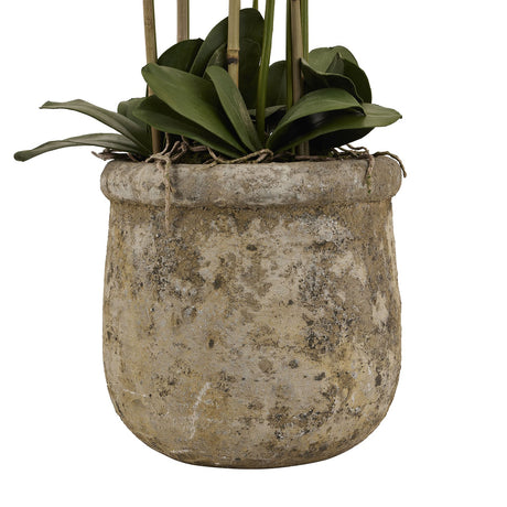 Large White Orchid In Antique Stone Pot - Lacona Home 