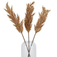 Taupe Faux Dried Pampas Grass Stem - Lacona Home 