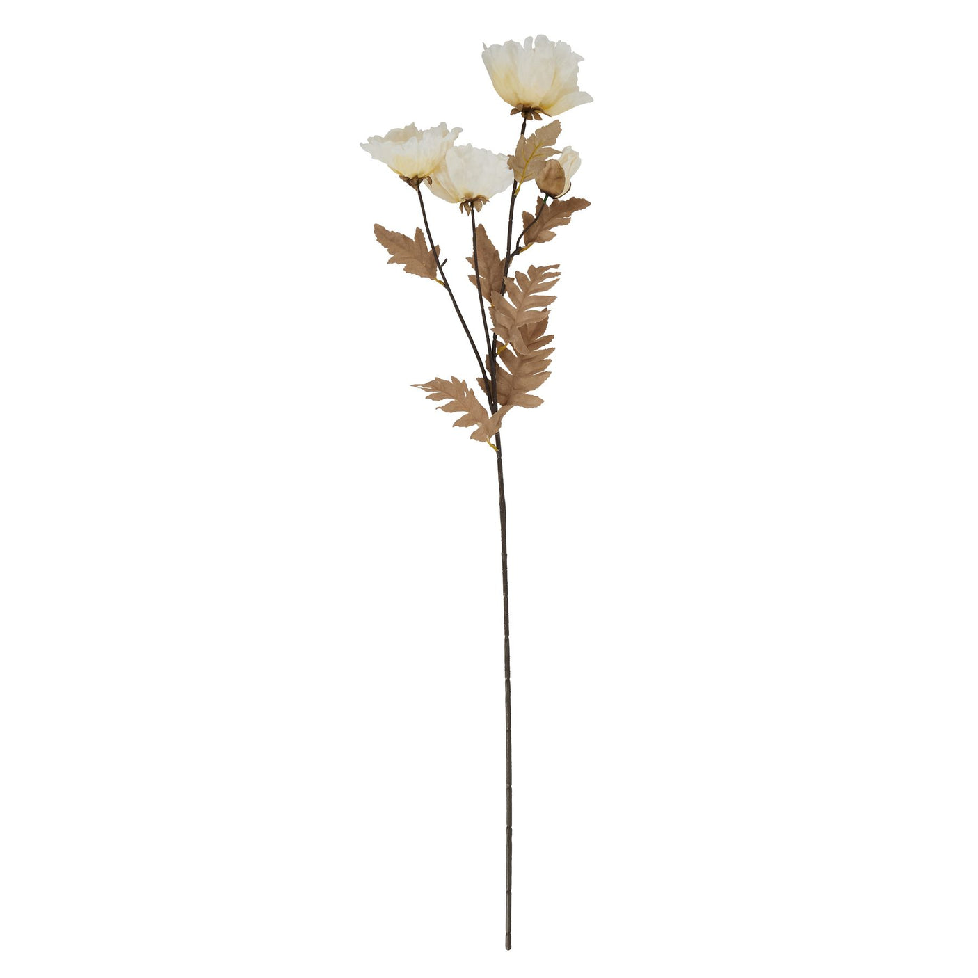 Large White Poppy Stem - Lacona Home 