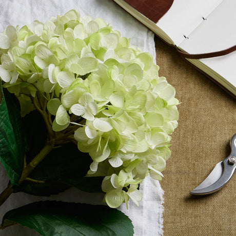 Oversized Green Hydrangea - Lacona Home 