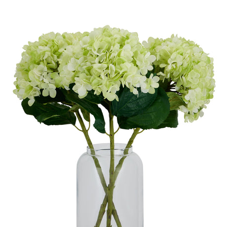 Oversized Green Hydrangea - Lacona Home 