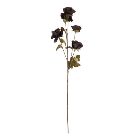 Tall Black Poppy Stem - Lacona Home 