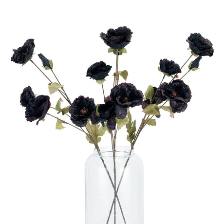 Tall Black Poppy Stem - Lacona Home 